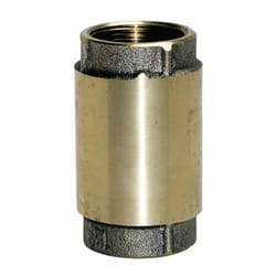 Water Source Brass 2 in. Check Valve