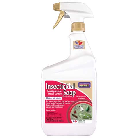 Garden Safe Insecticidal  Soap Insect Killer - 24 fl oz bottle