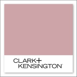 Clark+Kensington Edgy Statement 05A-3