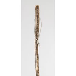 Brazos Walking Sticks Free Form Walking Stick Cane Ironwood 1 pk