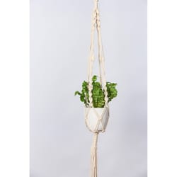 Primitive Planters White Cotton 42 in. H Twisted Cord Plant Hanger 1 pk