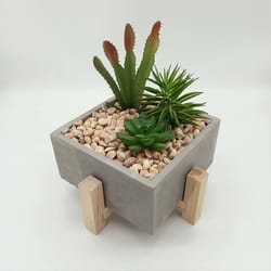 Mad Man Deck Planter Concrete/Wood 1 pk