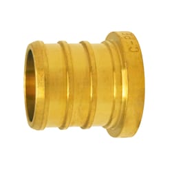 Apollo 3/4 in. PEX Barb in to X 3/4 in. D Brass Plug