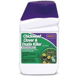 Bonide Chickweed Killer Concentrate 16 oz