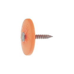 Grip-Rite No. 12 1-1/4 in. Cap Bright Steel Nail Full Round Head 1 lb