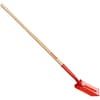 image-2