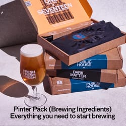 Pinter Sunlit Lager Beer Making Kit 12 pt 1 pk