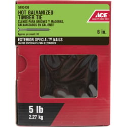 Ace 6 in. Timber Tie Hot-Dipped Galvanized Steel Nail Flat Head 5 lb