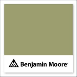 Benjamin Moore Fraser Fir 503