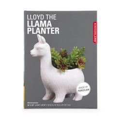 Kikkerland 6 in. H X 3.25 in. W X 5 in. D Ceramic Lloyd the Llama Planter White