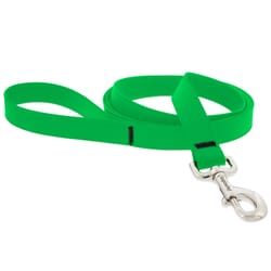 LupinePet Splash Neon Green BioThane Dog Leash One Size Fits All