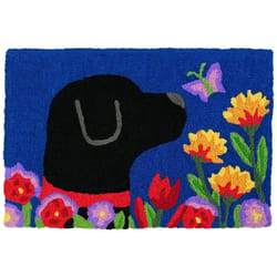 Jellybean 20 in. W X 30 in. L Multi-Color Garden Lab Polyester Accent Rug