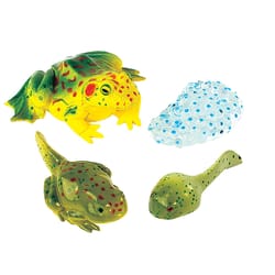 Insect Lore Frog Life Cycle Figurines Multicolored 4 pc