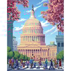 Boardwalk U.S. Capitol Jigsaw Puzzle Multicolored 500 pc