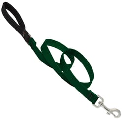 Lupine Pet Basic Solids Green Green Nylon Dog Leash