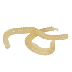 Victor Bait Worms For Gophers and Moles 10 pk