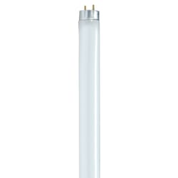 Satco 32 W T8 1 in. D X 48 in. L Fluorescent Bulb Cool White Linear 4100 K 1 pk