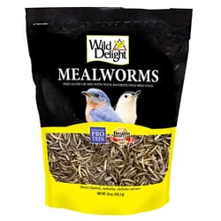 Wild Delight Assorted Species Dried Mealworm Wild Bird Food 16 oz