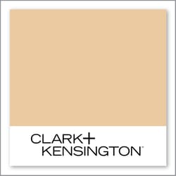 Clark+Kensington Just a Mirage 15B-3