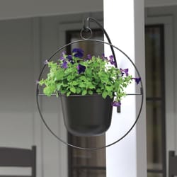 Panacea 17 in. D Metal Round Ring Hanging Planter Black