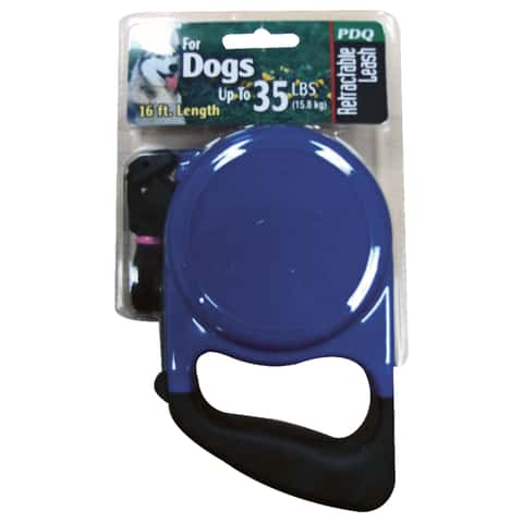 Go pro attached and retractable dog leash for towing