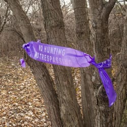 C.H. Hanson 100 ft. L X 6 in. W Plastic Solid No Hunting No Trespassing Barricade Tape Purple