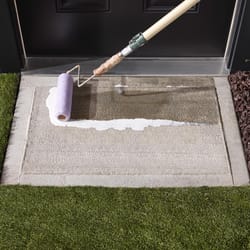Thompson's WaterSeal Waterproofer Plus Masonry Protector Clear Masonry Waterproof Sealer 1.2 gal