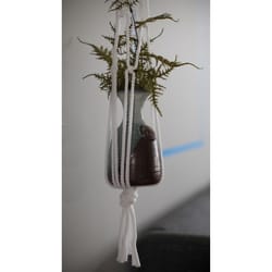 Primitive Planters White Macrame 30 in. H Plant Hanger 1 pk