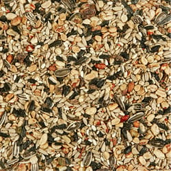 Kaytee Nut & Fruit Blend Songbird Nut & Fruit Wild Bird Food 5 lb