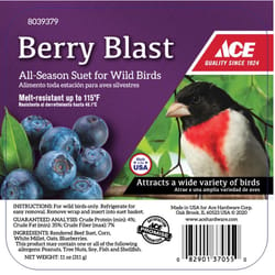 Ace Berry Blast Assorted Species Beef Suet 11 oz