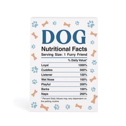P Graham Dunn 7. in. H X 6 in. L White Wood Dog Nutritional Facts Word Block