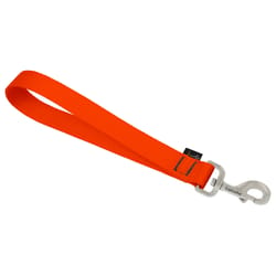 LupinePet Basic Solids Blaze Orange Blaze Orange Nylon Dog Training Leash