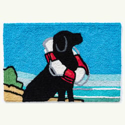 Jellybean 20 in. W X 30 in. L Multi-color Life Saving Lab Polyester Accent Rug