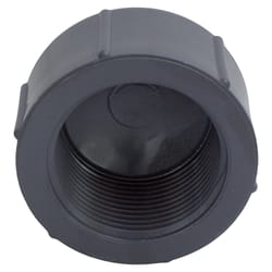 Charlotte Pipe Schedule 80 3/4 in. MPT X 3/4 in. D FPT PVC Threaded Cap 1 pk