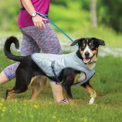 Kurgo Blue Dog Cooling Vest Medium