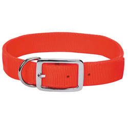 Boss Pet Guardian Gear Orange Nylon Dog Hunting Dog Collar Large