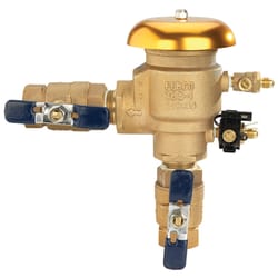 Febco 1 in. FPT in. X 1 in. FPT in. Bronze Vacuum Breaker