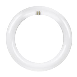 Feit Plug & Play T9 Cool White 1.2 in. G10Q Circular LED Bulb 22 Watt Equivalence 1 pk
