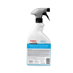 Rug Doctor Bissell Spot Treatment Stain Remover 22 oz Liquid