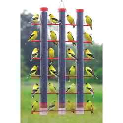 Songbird Essentials Goldfinch 3 lb Plastic Tube Bird Feeder 36 ports