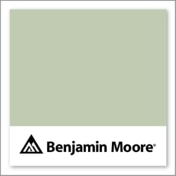 Benjamin Moore Spring Valley 438