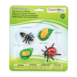 Safari Ltd. Safariology Ladybug Life Cycle