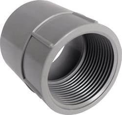 Cantex 2 in. D PVC Female Adapter For PVC 1 each
