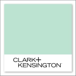 Clark+Kensington Gee Whiz 29D-2