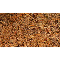 Locally Sourced Brown Pine Needles Mulch