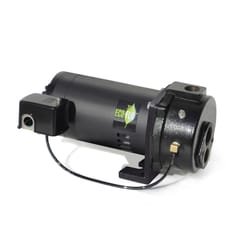 ECO-FLO 1 HP 1200 gph Cast Iron Deep Pump