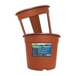 Dalen 10.5 in. H X 11.75 in. D Plastic Potato Planter Brown