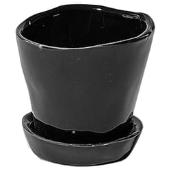 Chive Tika 3 in. D Ceramic Succulent Pot Black