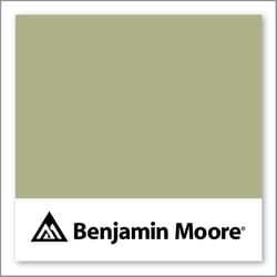 Benjamin Moore Grasslands 502