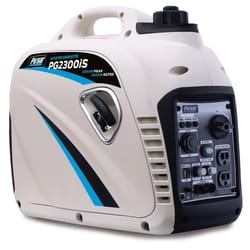 Pulsar 120 V Gas Portable Generator 1800 W